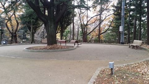 須和田公園の広場