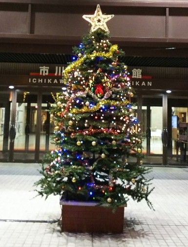 市川文化会館のクリスマスツリー2016