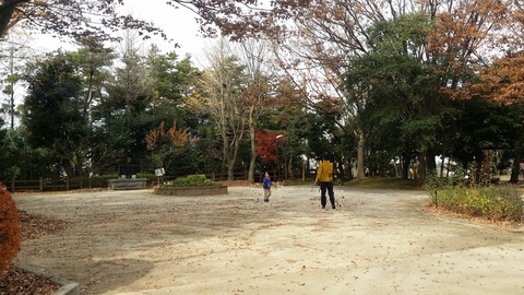 市川市須和田公園の広場