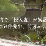 市川市内で「侵入盗」が異常急増中