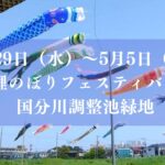 第35回国分川鯉のぼりフェスティバル（2026）が国分川調整池緑地にて開催