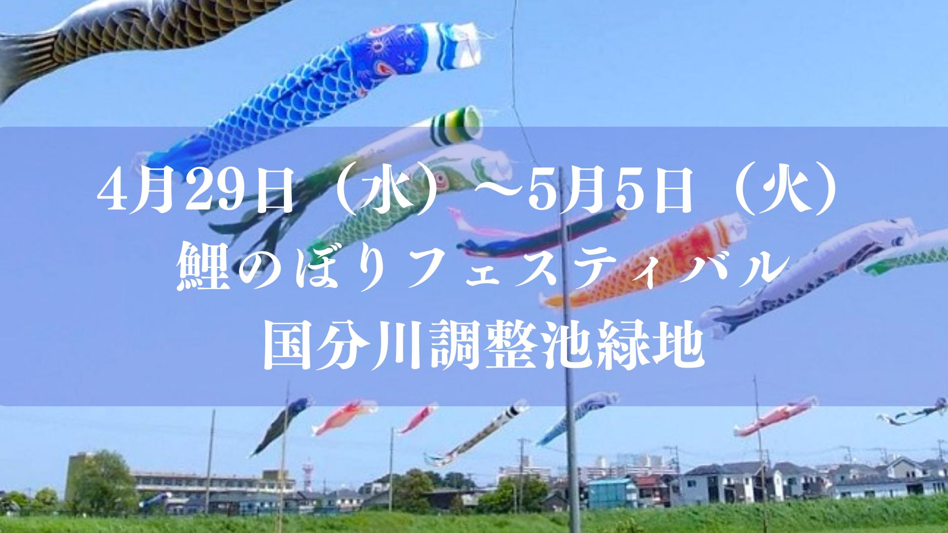 第35回国分川鯉のぼりフェスティバル（2026）が国分川調整池緑地にて開催