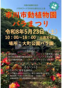 市川市動植物園バラまつり2026春が開催