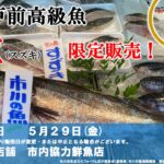 市川産江戸前高級魚スズキが販売2026