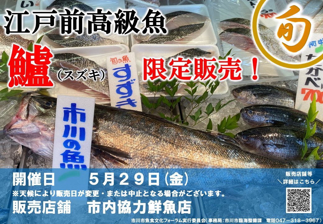 市川産江戸前高級魚スズキが販売2026