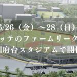 6/26（金）～28（日）千葉ロッテのファームリーグ公式戦が国府台スタジアムで開催