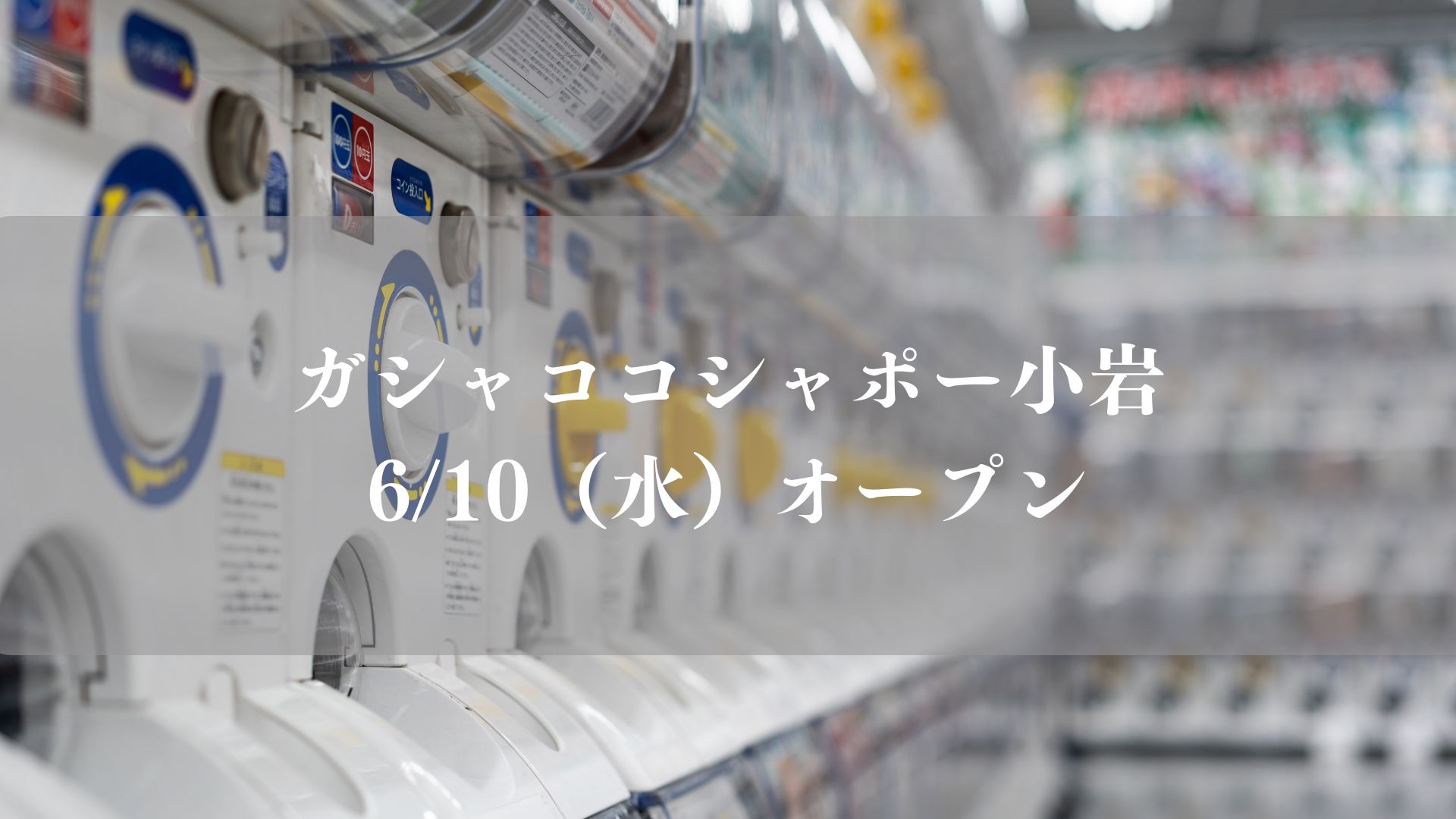 ガシャココシャポー小岩がオープン