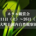 ホタル観賞会2026／市川市