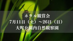 ホタル観賞会2026／市川市