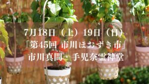 手児奈霊神堂で「第45回 市川ほおずき市」が開催／2026年