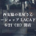 下総中山駅前・西友脇の花店「フラワーショップ LACA」が6/21（日）閉店