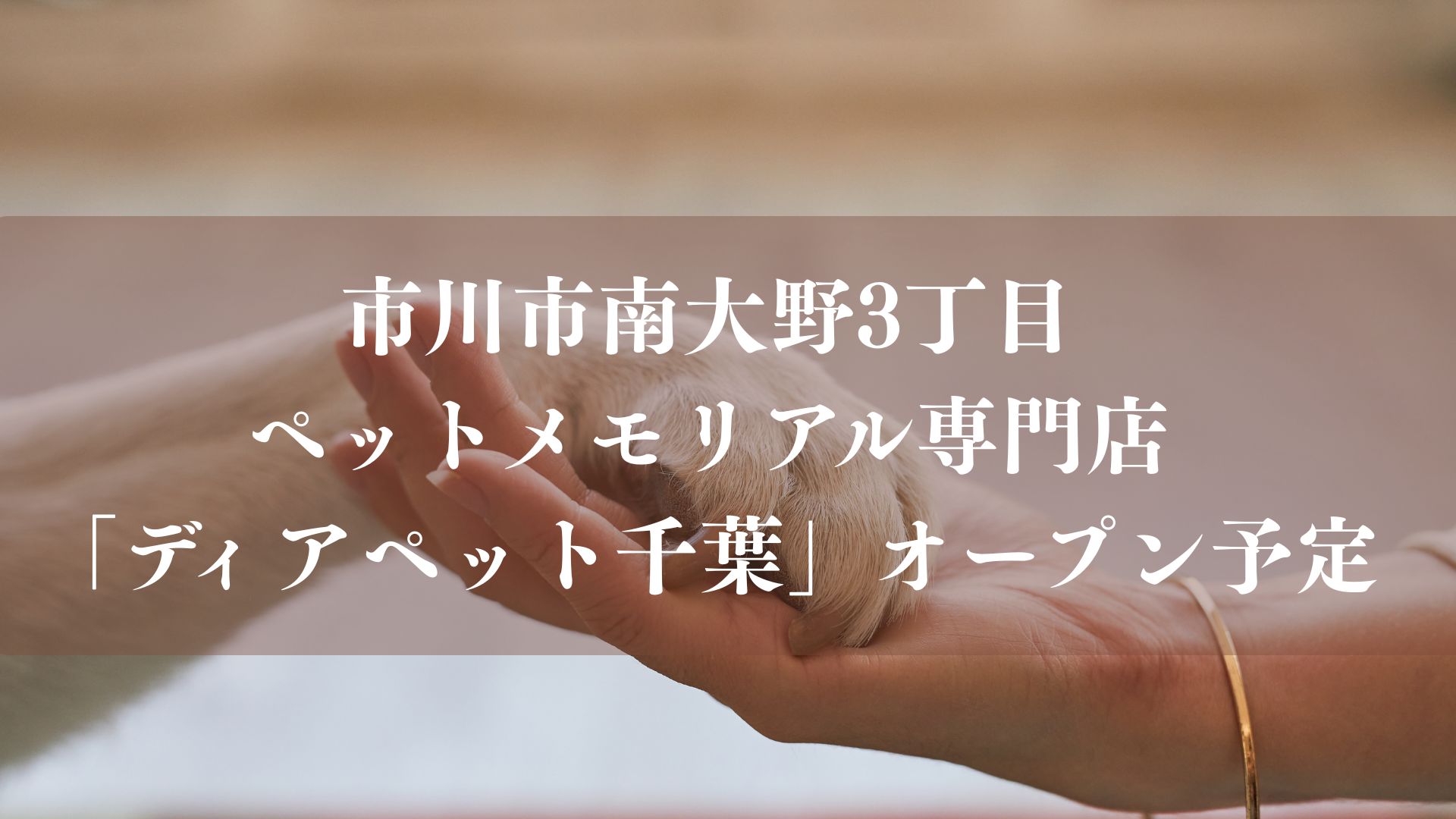 【市川市】南大野3丁目にペットメモリアル専門店「ディアペット千葉」が8月中旬~9月初旬オープン予定