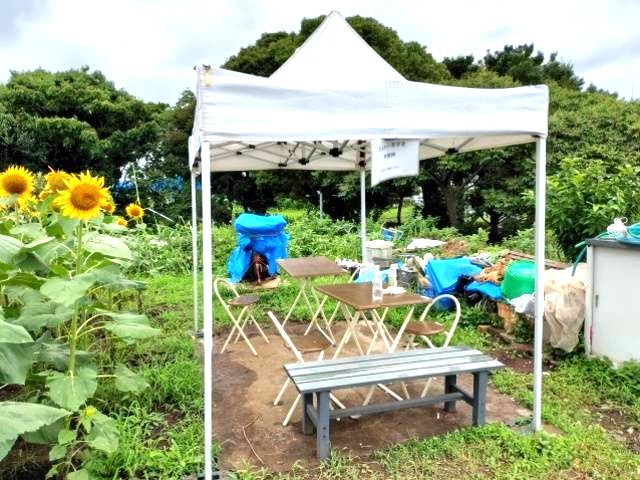 大柏川かはづ会 ひまわり畑の休憩所