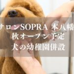 本八幡駅南口エリアに「ペットサロンSOPRA（ソプラ） 本八幡店（仮称）」が、2026年秋にオープン予定／市川市