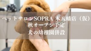本八幡駅南口エリアに「ペットサロンSOPRA（ソプラ） 本八幡店（仮称）」が、2026年秋にオープン予定／市川市