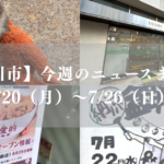 【市川市】今週のニュースまとめ（7/20～7/26）ゲリラ豪雨、梨シーズン、パンチ1歳、開店・閉店など／2026年