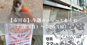 【市川市】今週のニュースまとめ（7/20～7/26）ゲリラ豪雨、梨シーズン、パンチ1歳、開店・閉店など／2026年