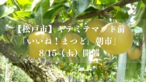 【松戸市】キテミテマツド前で「いいね！まつど。朝市」が8/15（土）開催、旬の「まつどの梨®」を数量限定販売