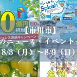 【市川市】今週のニュース・イベントまとめ（8/3～8/9）新店オープン、梨フェア、夏祭りも