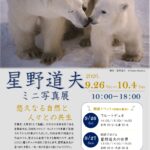 【市川市】星野道夫ミニ写真展が9/26(土)スタート、市川駅前ミュージアムで入場無料|フルートコンサートも