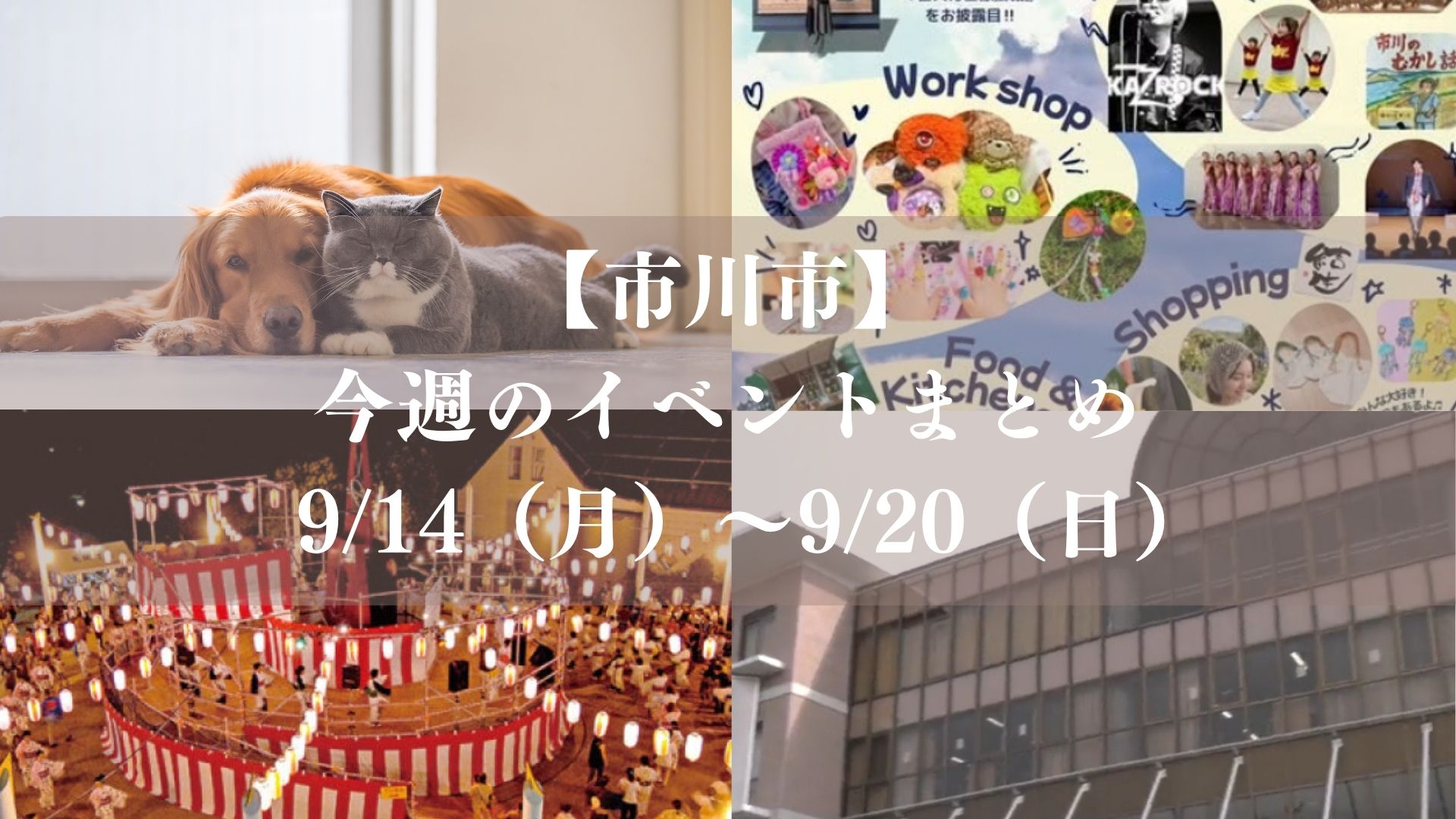 【市川市】今週のニュース・イベントまとめ(9/14~9/20)しんぱち食堂・松のや開店、コルトンぼんおどり・なずな祭も