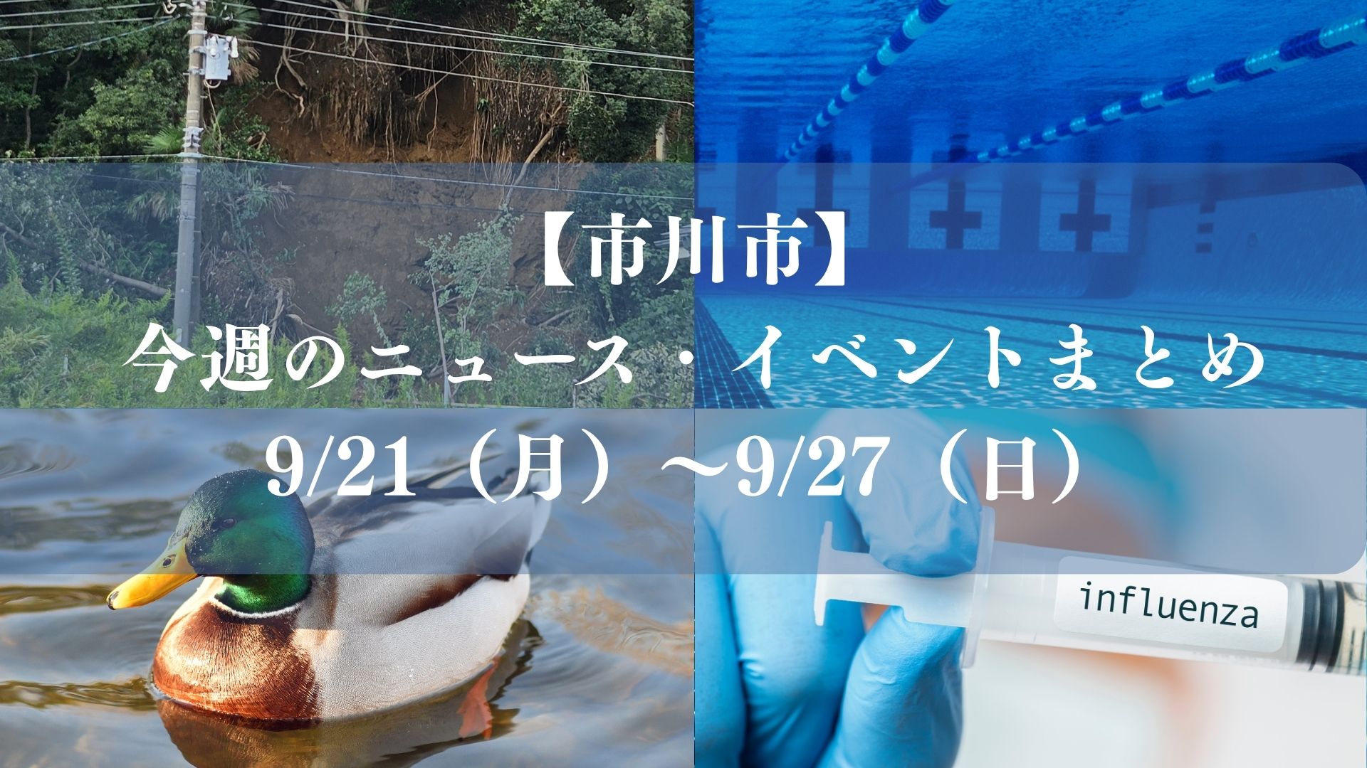 【市川市】今週のニュースまとめ（9/21～9/27）｜台風25号被害、松元克央選手が銀・銅3個、インフル注意報、新浜鴨場浸水