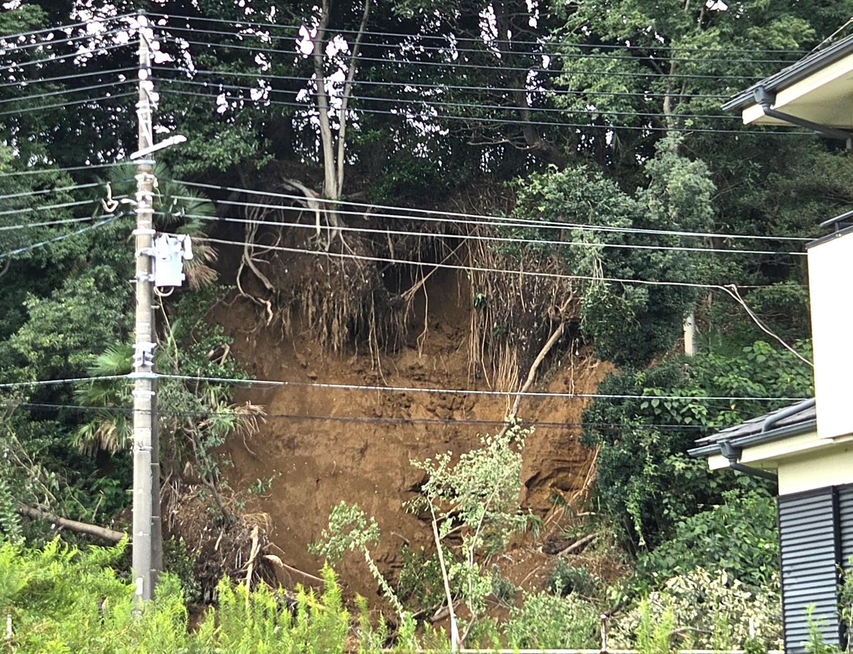 市川市台風25号の被害2026
