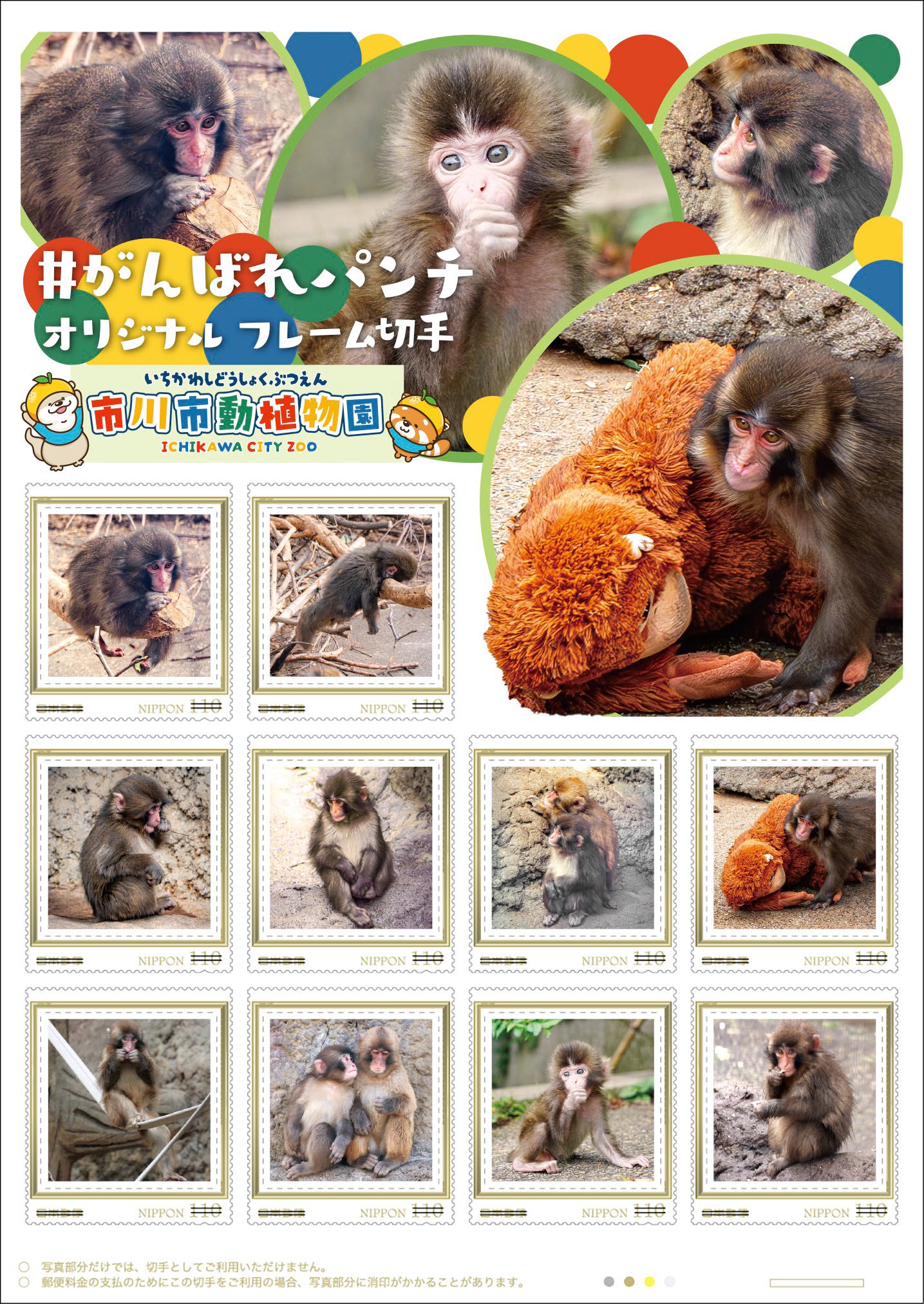 【市川市動植物園】完売続出「#がんばれパンチ切手」、10/9(金)10時から受注販売!11/1(日)まで