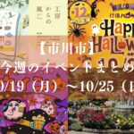 【市川市】今週のイベントまとめ（10/19～25）｜行徳・市川ハロウィン、手児奈盆踊り、工房からの風も